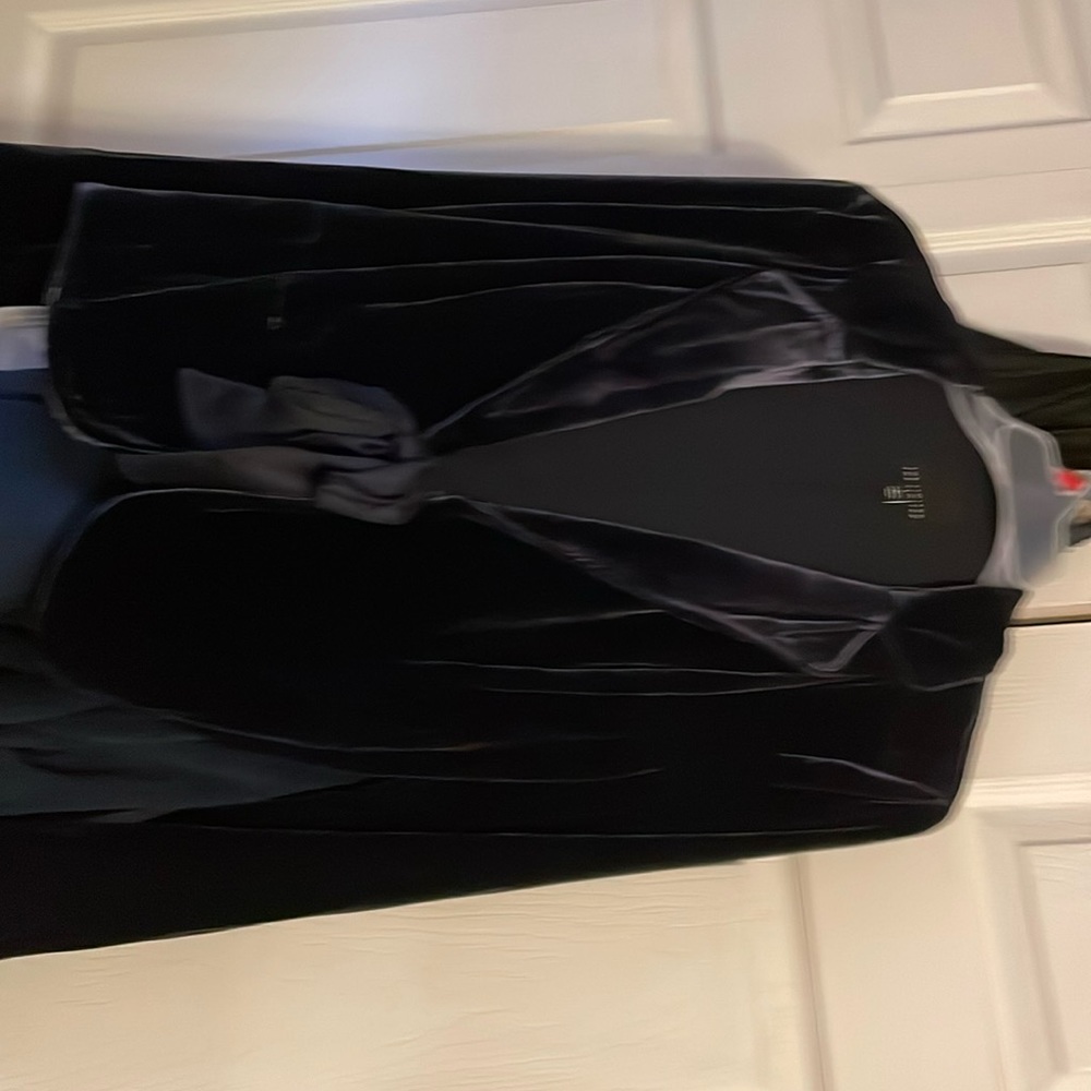 The Limited ribbon front closure velvet blazer